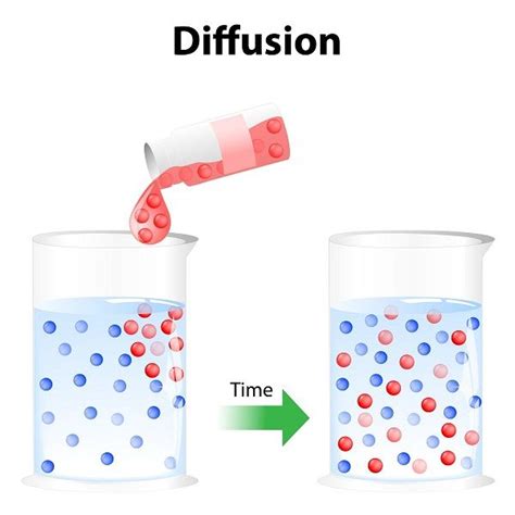 10 Examples Of Diffusion In Everyday Life – StudiousGuy