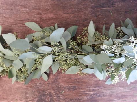 Seeded Eucalyptus Garland – The Garland Guy