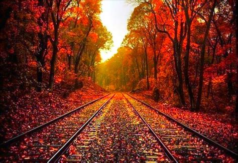 Beautiful Fall Computer Wallpaper - WallpaperSafari