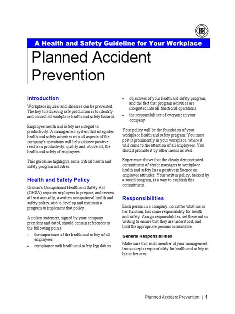 Accident Prevention Plan | Occupational Safety And Health | Safety