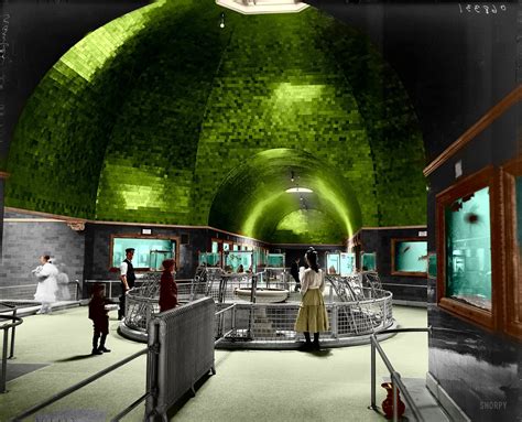 green ceiling of the detroit aquarium circa 1905 | Detroit aquarium ...