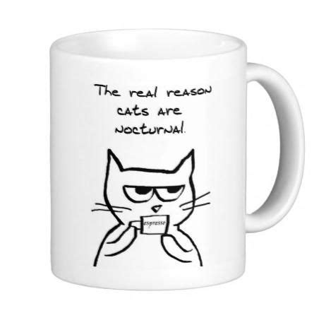 Funny coffee cup for cat lovers and cat owners | Zazzle | Cat drinking ...