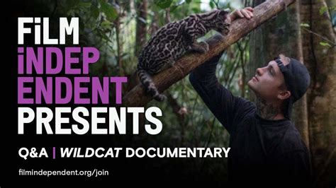 WILDCAT - The Film Independent Presents Q&A | Amazon Prime documentary ...