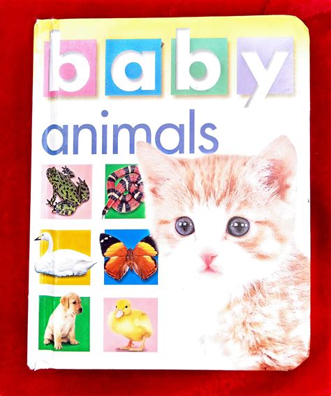 baby animals (Board Book) - The Children's Book Bin