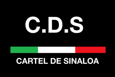 (Video) Cártel de Sinaloa Sicarios (CDS) Announce Their Presence in ...