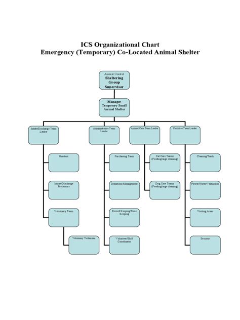 ICS Organizational Chart - 5 Free Templates in PDF, Word, Excel Download