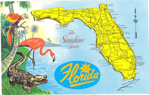 Vintage Florida Postcards