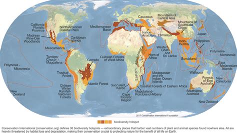 2048px-Biodiversity_Hotspots_Map_2017 - The Naturalist Journeys Blog