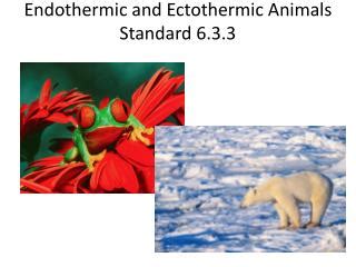 PPT - Endothermic and Ectothermic Animals Standard 6.3.3 PowerPoint ...