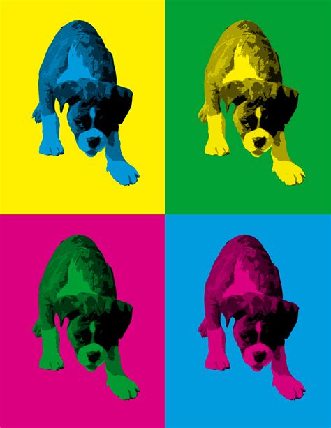 ANDY WARHOL EFFECT (POP ART)