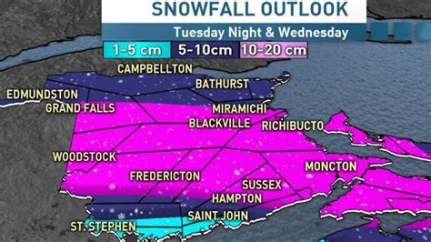 Snowstorm expected to bring 20 cm to some areas | CBC News