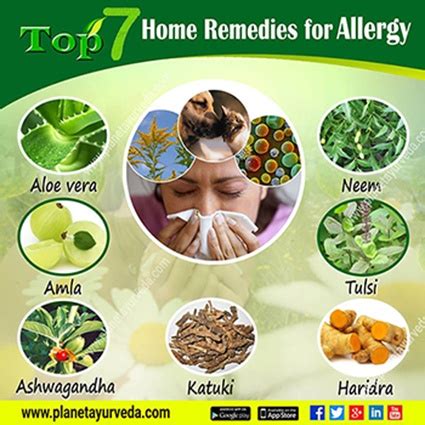 Top 7 Home Remedies for Allergies - Theayurveda