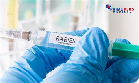 Rabies Disease in Bali - Prime Plus Medical