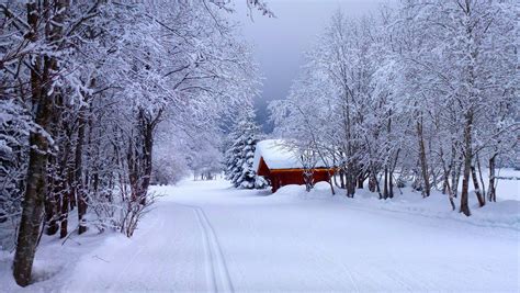 Snowy Road Winter Landscape Wallpapers - Wallpaper Cave