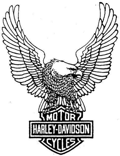 Harley Davidson Events – Harley Davidson Bike Pics | Harley davidson ...