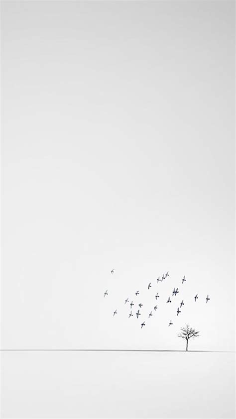 iPhone, Minimalistic, White - Wallpaper Iphone Minimalist Wallpaper ...