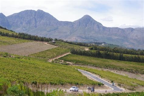 The wines of Waterkloof, Stellenbosch, South Africa