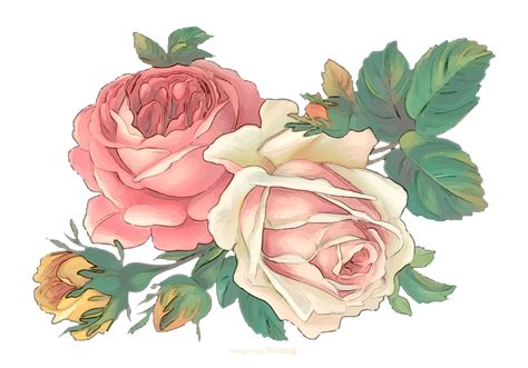 Vintage Watercolor Flowers - Download Free Vector Art, Stock Graphics ...