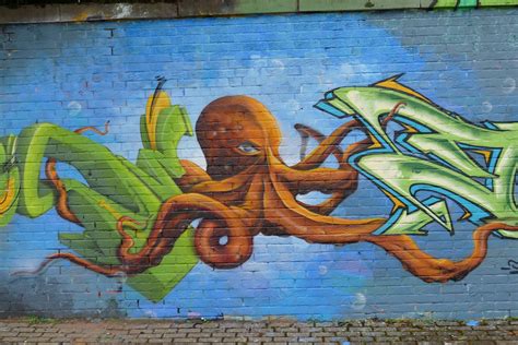 Dundee Street Art (8) | Royan | Flickr