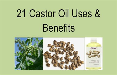 Castor Oil Uses and Benefits | Natural health care, Natural cures, Oil uses