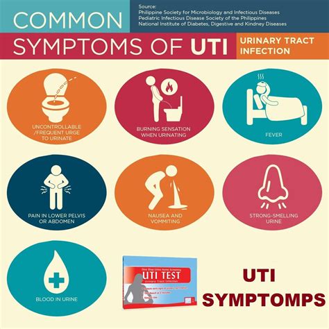 Symptoms In Uti