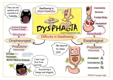 Dysphagia: Difficult Swallowing - Creative Med Doses