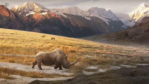 Woolly Rhinos Weren't Hunted to Extinction | Genetics And Genomics