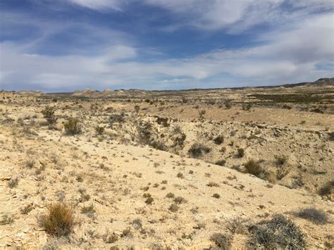 5 Facts About the Chihuahuan Desert – Explore Texas