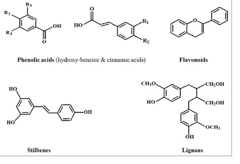 Figure 2 from Plant polyphenols as dietary antioxidants in human health ...