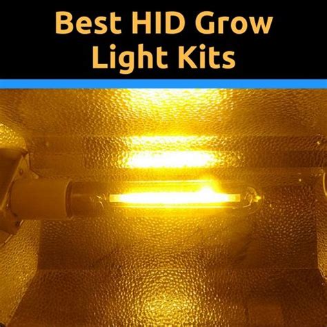 Best HID Grow Lights (Top Kits Reviewed By An Actual Grower)