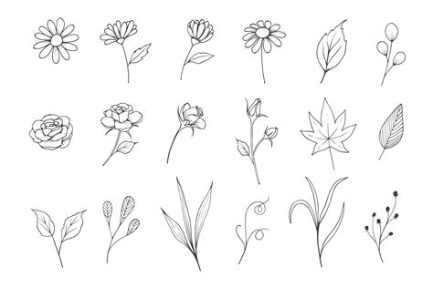 Sketch Flower Design