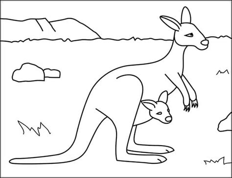 Easy How to Draw a Kangaroo Tutorial and Kangaroo Coloring Page