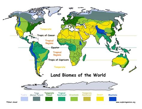 Tundra Biome Map