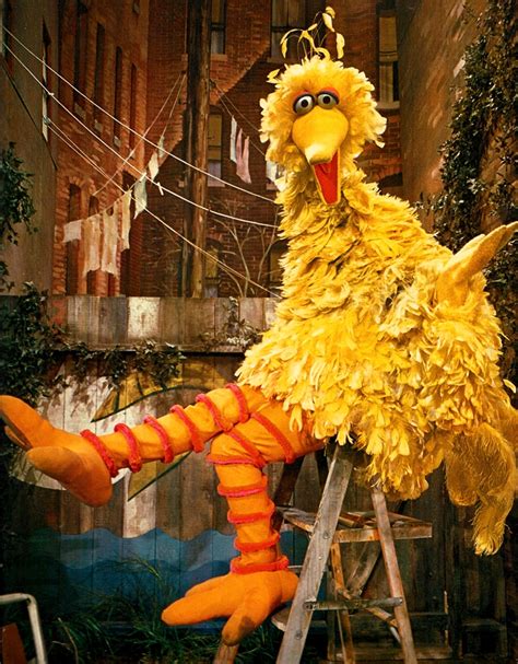 Big Bird Through the Years | Muppet Wiki | FANDOM powered by Wikia