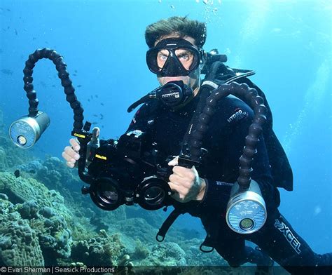 Equipment for DSLR Underwater Video