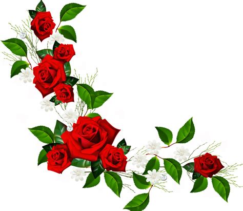 Free Rose Vine Cliparts, Download Free Rose Vine Cliparts png images ...