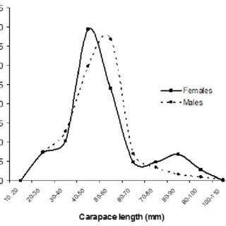 Size distribution of male and female P. homarus homarus. In females ...