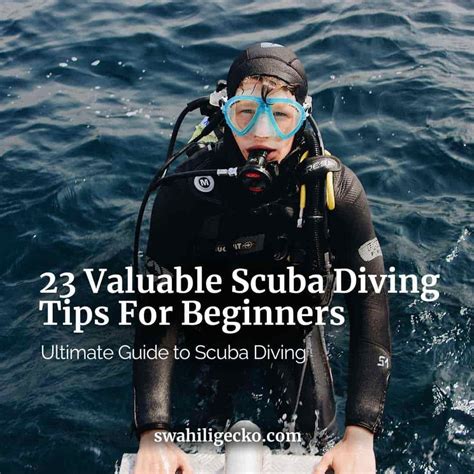 23 Best Scuba Diving Tips For Beginners: Ultimate Guide to Scuba Diving ...