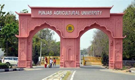 Punjab Agricultural University, Ludhiana | 'Monomousumi'