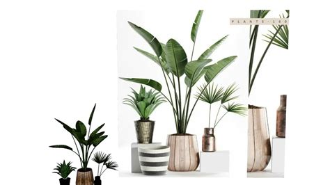 Indoor Plants | 3D Warehouse