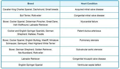 45 HQ Photos Heart Murmur In Puppies Grade 1 / Heart Murmurs Speak ...