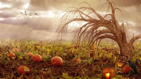 Pumpkin Patch Wallpapers - Wallpaper Cave