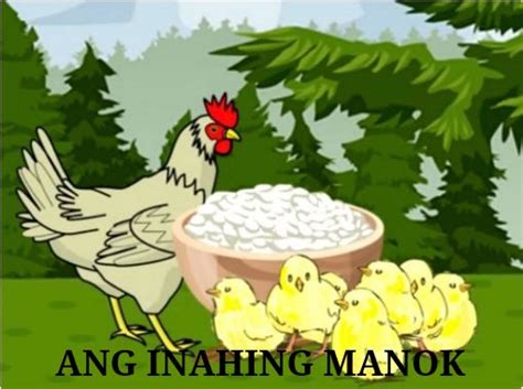 "ANG INAHING MANOK" - Free stories online. Create books for kids ...