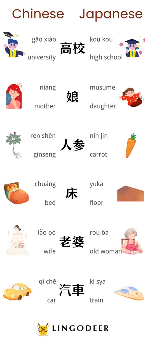 Chinese vs Japanese Language | All You Need to Know