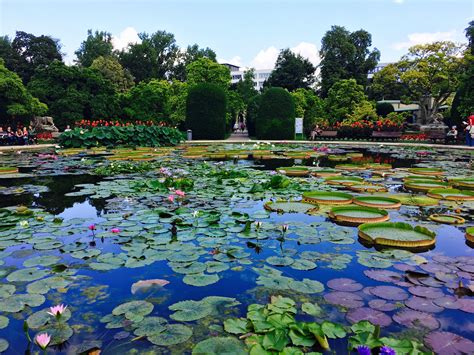 Wilhelma Botanical Garden, Stuttgart, Germany : r/germany