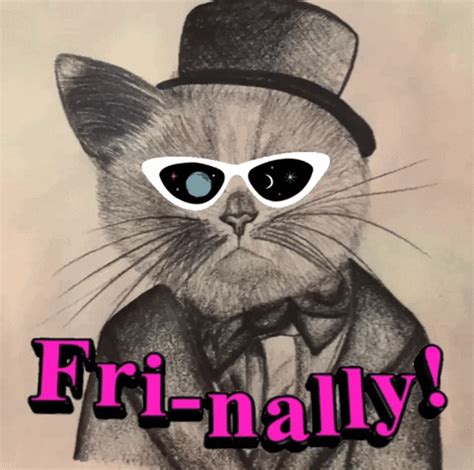 Friday Night Cat GIF - Find & Share on GIPHY