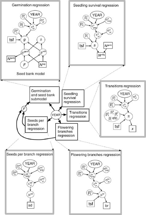 Graphical representation of the Bayesian hierarchical model used to ...