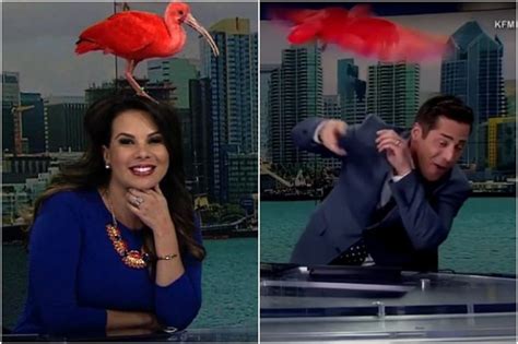 These 50 TV Anchor Bloopers Caught On Camera Are Well-Worth A Recap ...