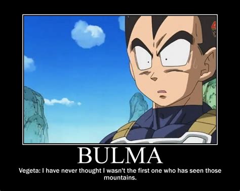 Anime Heres: Random Fun: Vegeta's Face