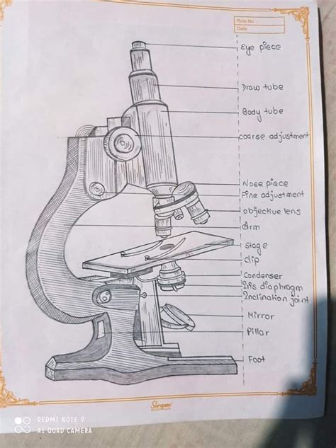 Labelled Diagram of Compound Microscope | Figure Of Compound Microscope ...